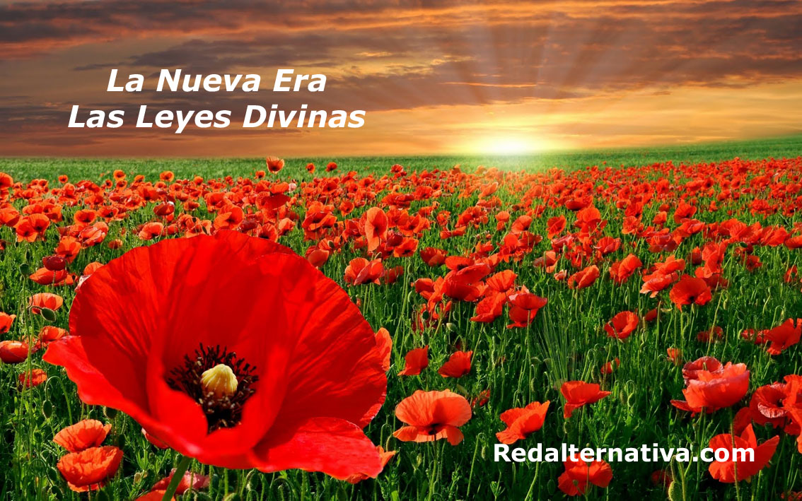 ARTÍCULOS LEYES DIVINAS Y LA CREACIÓN